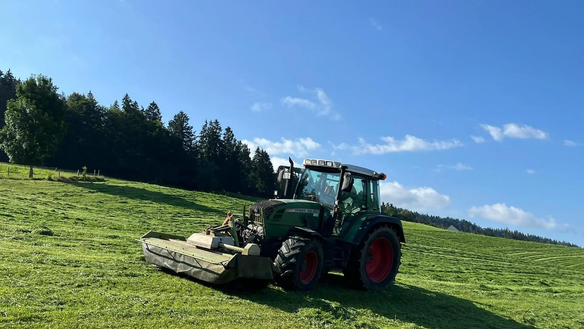 Ferienhof Sinz Im Allgaeu Weiler-Simmerberg Germany