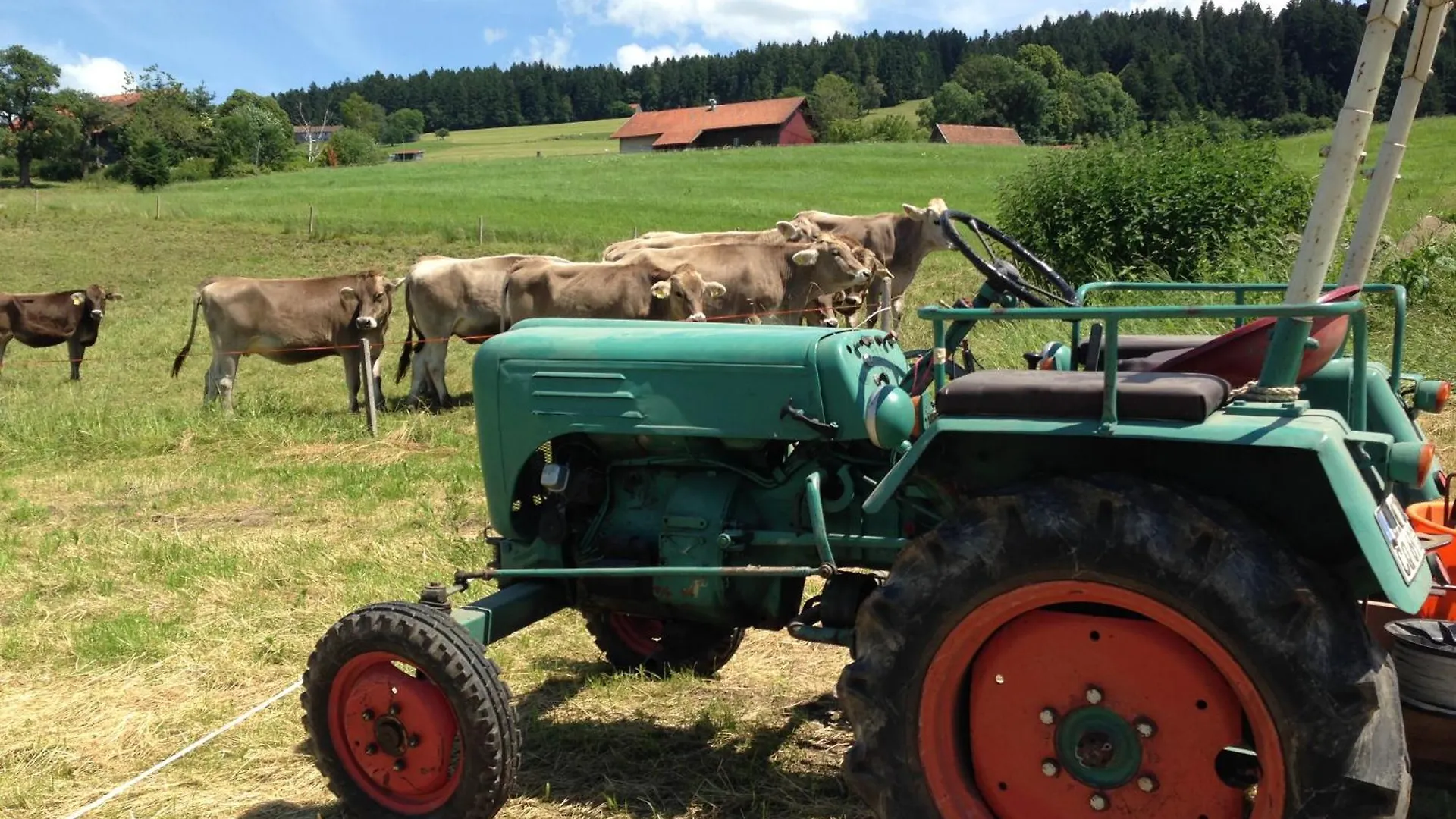 Ferienhof Sinz Im Allgaeu Weiler-Simmerberg Apartment